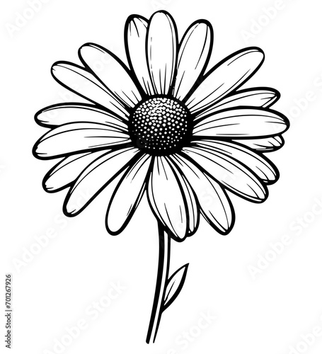 Beautiful seamless daisy or chamomile flowers and leaves pattern 