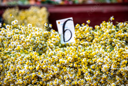 Flowers sold at Chisinau central market, Moldova