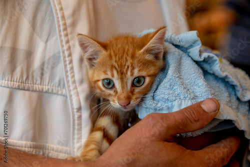 Man holding a kitten in Chisinau, Moldova