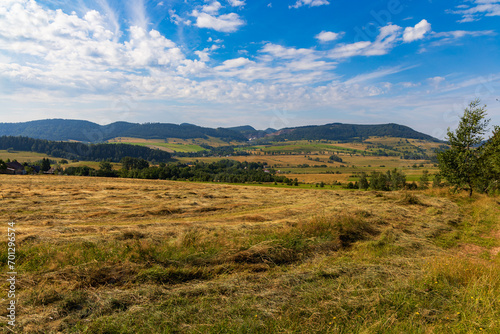 Beautiful landscape of glades and clearing full of fields and trees between it at mountains at sunny cloudy day