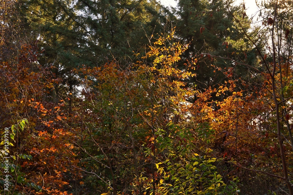 Amrum Insel Schleswig-Holstein Deutschland Nordsee Welterbe UNESCO