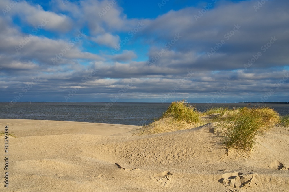 Amrum Insel Schleswig-Holstein Deutschland Nordsee Welterbe UNESCO
