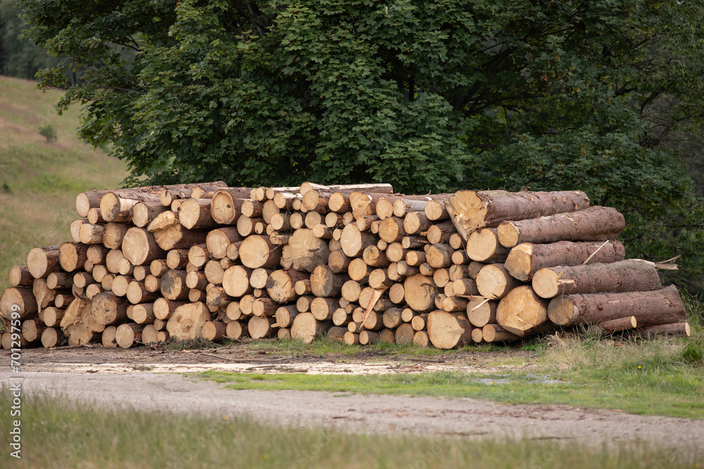 A pile of cut firewood on a rural road in Poland.