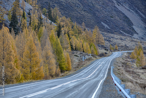 Road in the mountains early in the morning. Autumn landscape.