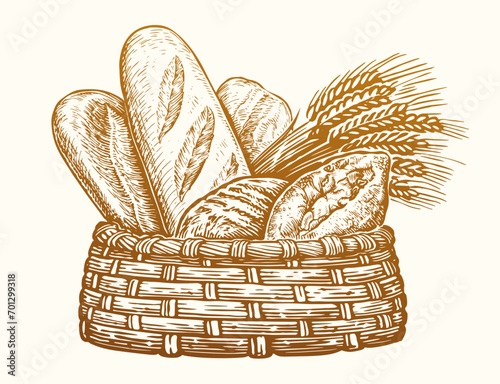 Bakery products in wicker basket. Fresh baked goods, sketch vintage vector illustration. Breads and ears of wheat
