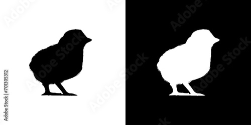 Chicks silhouette icon. Animal icon. Black animal icon. Silhouette