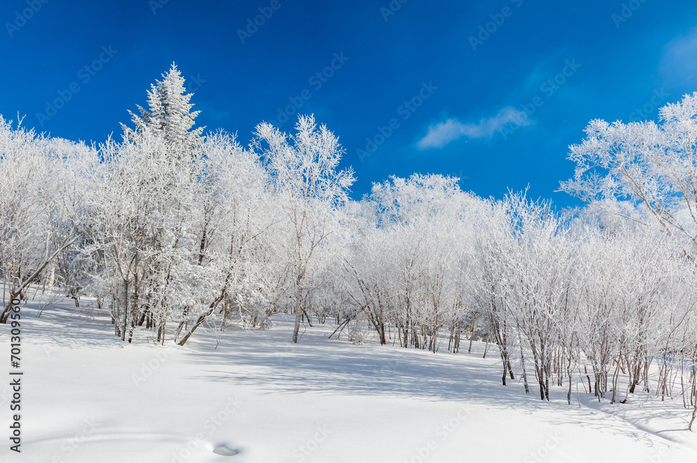 Lao Rik soft rime landscape, northwest of Zhenbong Mountain, at the junction of Helong city and Antu County, Yanbian Korean Autonomous Prefecture, Jilin Province, China Lao Rik soft rime landscape, northwest of Zhenbong Mountain, at the junction of Helong city and Antu County, Yanbian Korean Autonomous Prefecture, Jilin Province, China