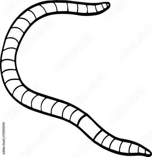 earthworm cartoon illustration.