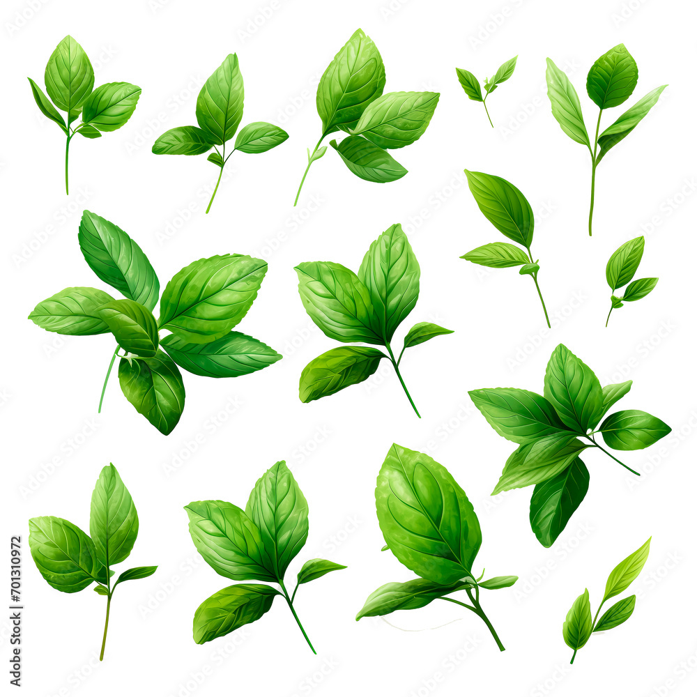 green leaves isolated on white, PNG green leaves isolated on white, PNG