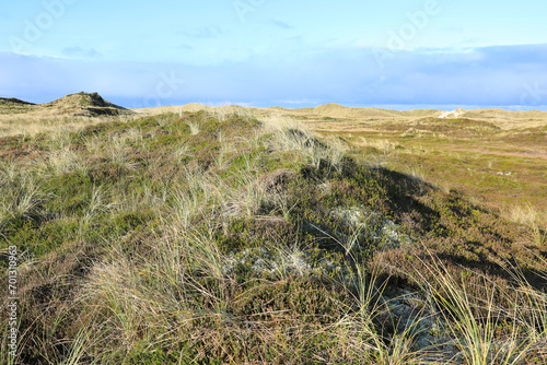 Idyllic dune landscape in Bulbjerg, northern Jutland, Denmark photo