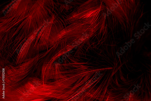 black and red feathers. background