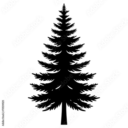 Pine Tree vector silhouette black color 19