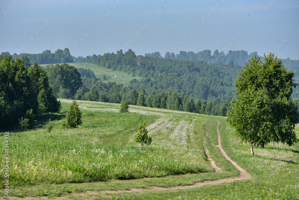 Summer landscape in a hilly area.