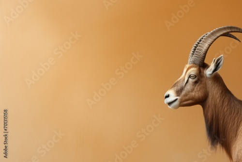 A digital art animal photo showcases a klipspringer goat with long horns against a safari background. photo