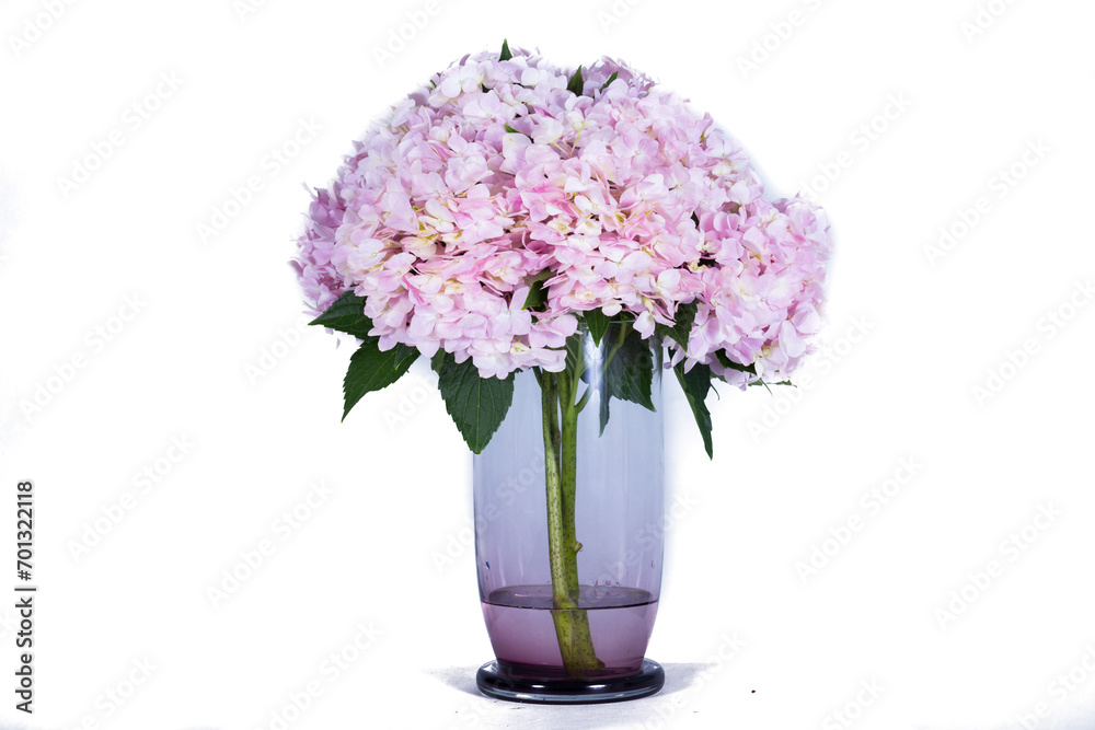Beautiful flowers in a vase Beautiful flowers in a vase