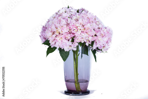 Wallpaper Mural Beautiful flowers in a vase Torontodigital.ca