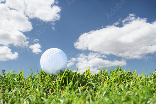 Close up golf course