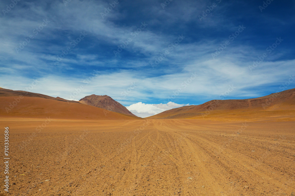 Dali desert