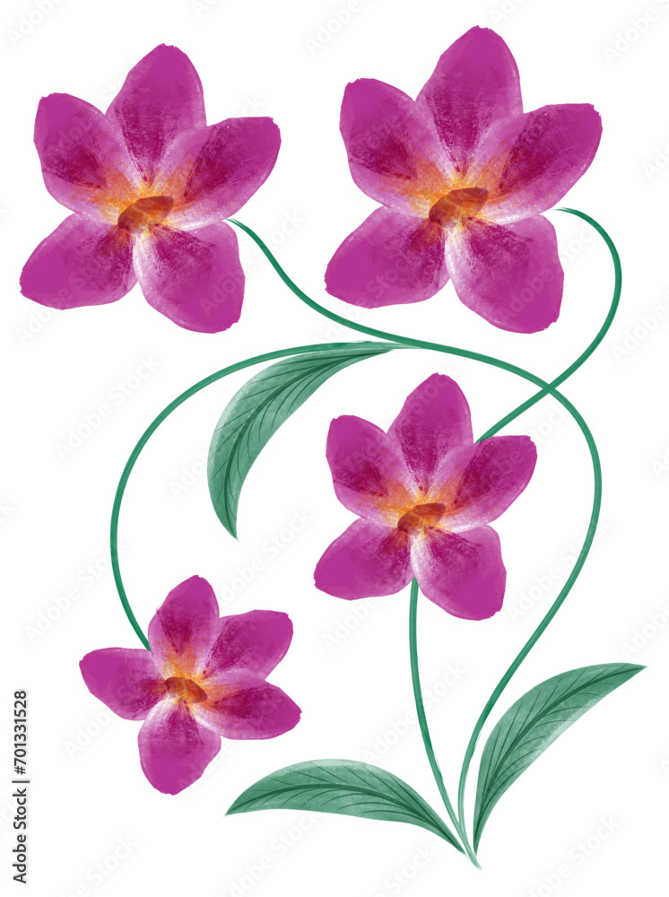 Panting watercolor flowers on white background.