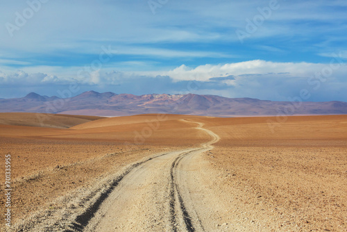 Road in Bolivia