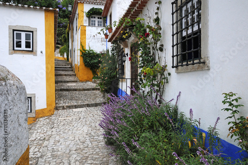 the small village of Obidos in Portugal