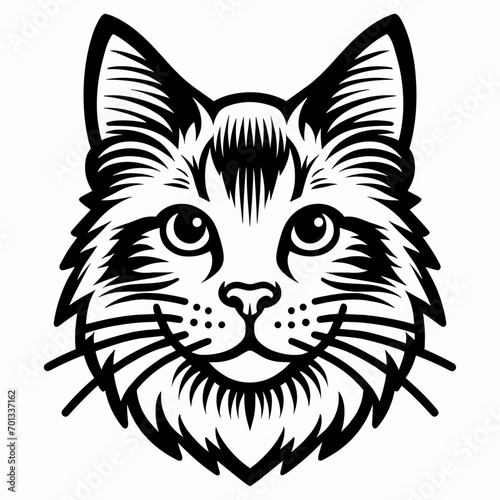 black and white cat head
