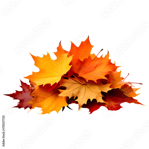 Autumn Leaves Pile Isolated on Transparent Background 