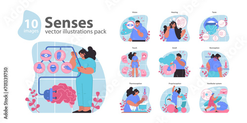 Senses set. Human sensory organs and functions. Interaction of smell, taste, touch, vision, hearing, and balance. Central nervous system connection. Flat vector illustration.