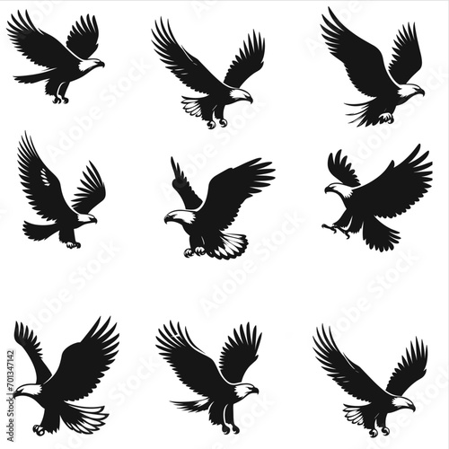 set of eagle silhouettes  set of birds