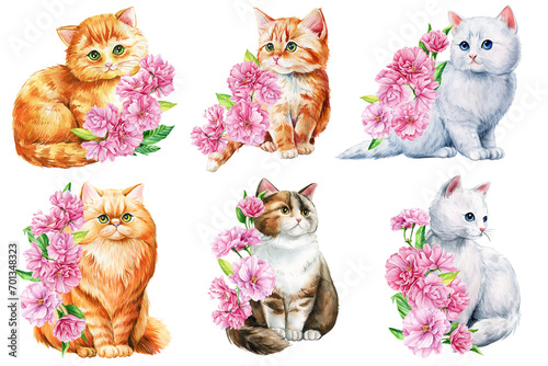 Cute cat set with pink apple flowers, sakura. Watercolor painting illustration, Spring Animal for design, poster, cards photo
