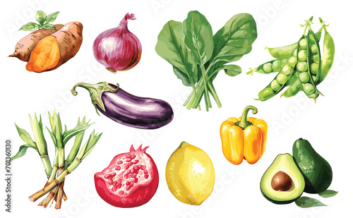 Watercolor painted collection of vegetables and fruits. Hand drawn fresh food design elements isolated on white background