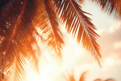 Palms luxury natural background 