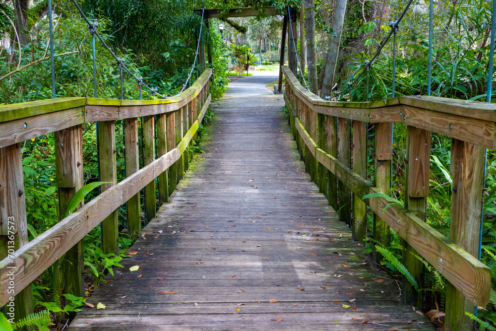 Fototapeta premium Bridge in jungle