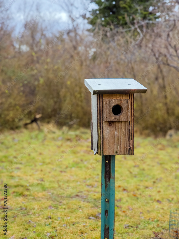 A wooden birdhouse sitting in an open field with blurry brush and bushes behind