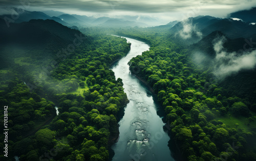 Aerial View of a Meandering River Flowing Through a Dense, Green Rainforest with Misty Atmosphere and Lush Foliage © Bartek