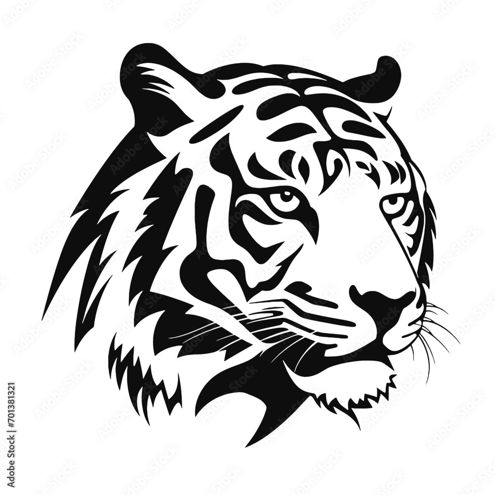 tiger cartoon tiger cartoon