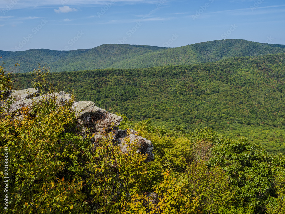 Naklejka premium Green bushes and rocks in the foreground with the wide wilderness region behind at Tibbet Knob in the George Washington National Forest in Virginia, USA.