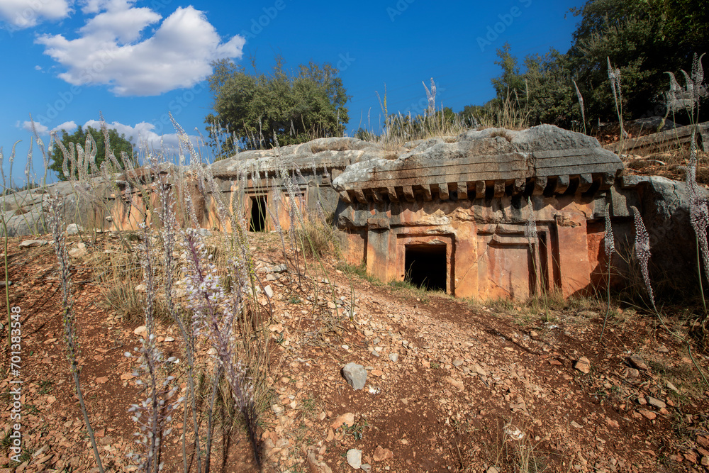 Obraz premium Rock tombs of the ancient city of Lmyra, Antalya.