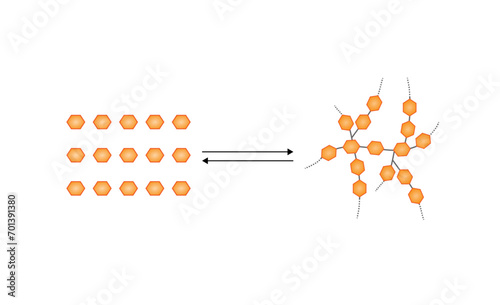 	
Glycogenesis, Glycolysis, Glycogenolysis. Carbohydrates Digestion. Glycogen and glucose Sugar Formation. Scientific Diagram. Liver and Muscle cells. Vector Illustration.