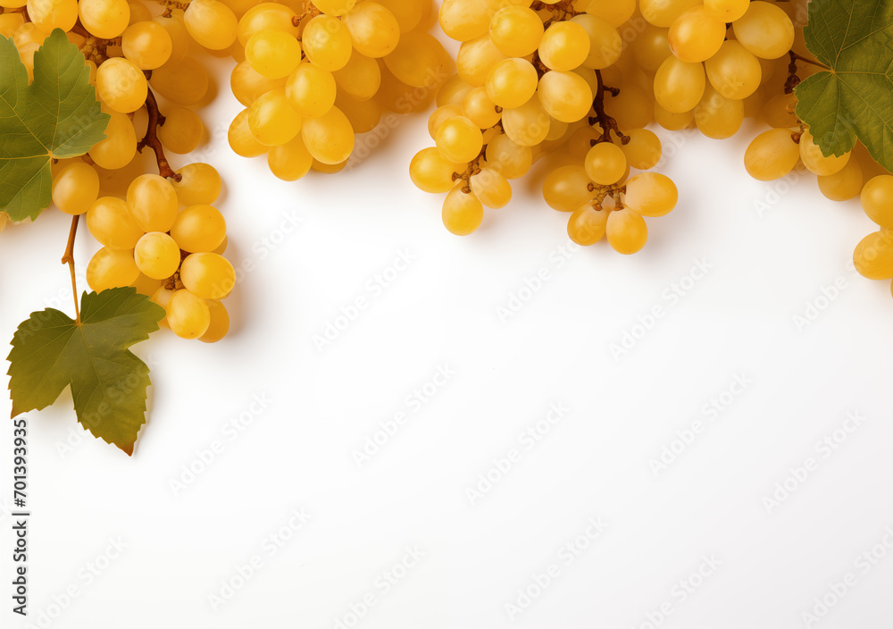 Yellow Grapes - Decorative Border with Center Copy Space
