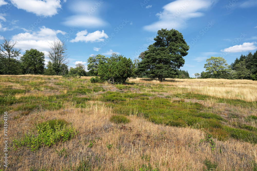 Blumenrather Heide in der Eifel - Stockfoto Blumenrather Heide in der Eifel - Stockfoto