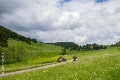 Spring of Hron, Horehronie, Low Tatras, Slovakia photo