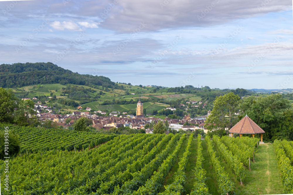 Vineyards with Arbois town, Department Jura, Franche-Comte, France