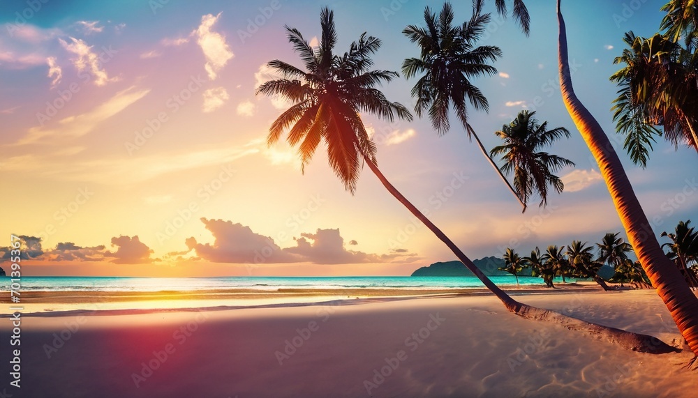 sunset on the beach with a palm tree suitable as a background or cover