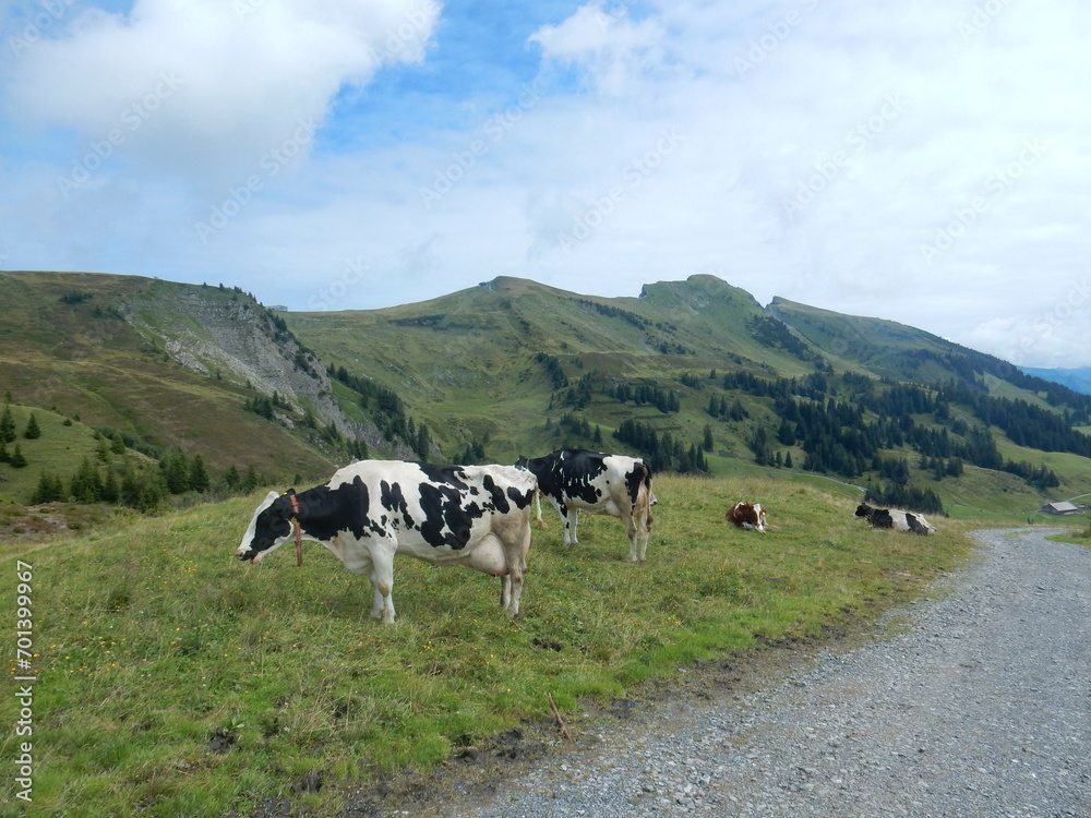 alpine landscape in damuls, voralberg, austria, 