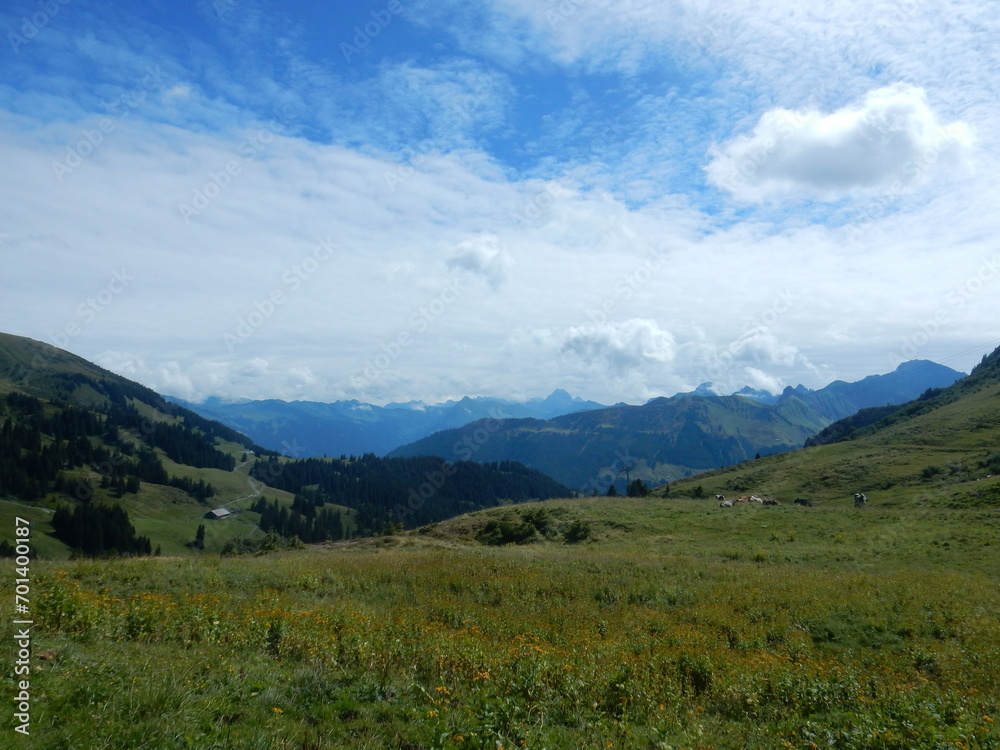 alpine landscape in Damuls, Voralberg, Austria