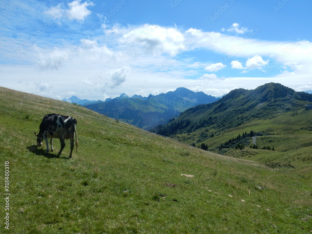 alpine landscape in Damuls, Voralberg, Austria