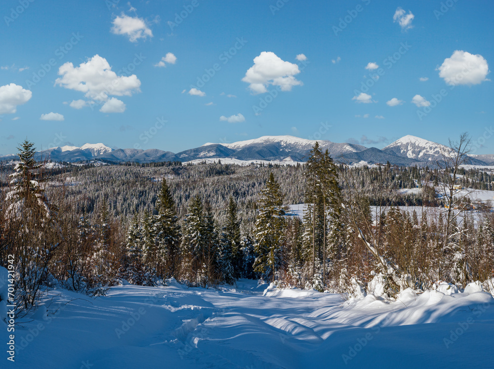 Winter remote alpine village outskirts, countryside hills, groves and farmlands view from mountain slope