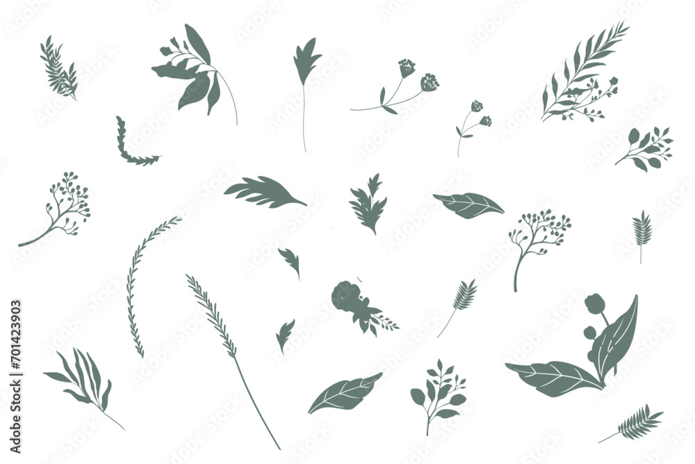 Hand drawn botanical silhouette of branches, flowers and leaves. Vector illustration