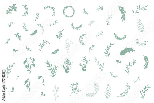 Hand drawn botanical silhouette of branches, flowers and leaves. Vector illustration